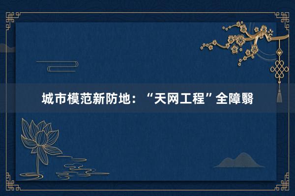 城市模范新防地：“天网工程”全障翳